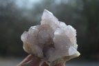 Natural Spirit Quartz Clusters x 2 From Boekenhouthoek, South Africa - Toprock Gemstones and Minerals 