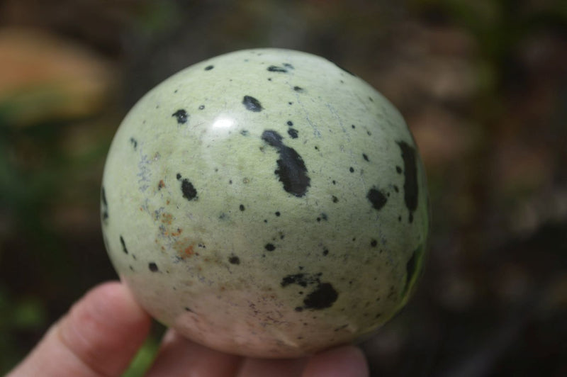 Polished Leopard Stone Standing Free Forms x 6 From Nyanga, Zimbabwe - Toprock Gemstones and Minerals 