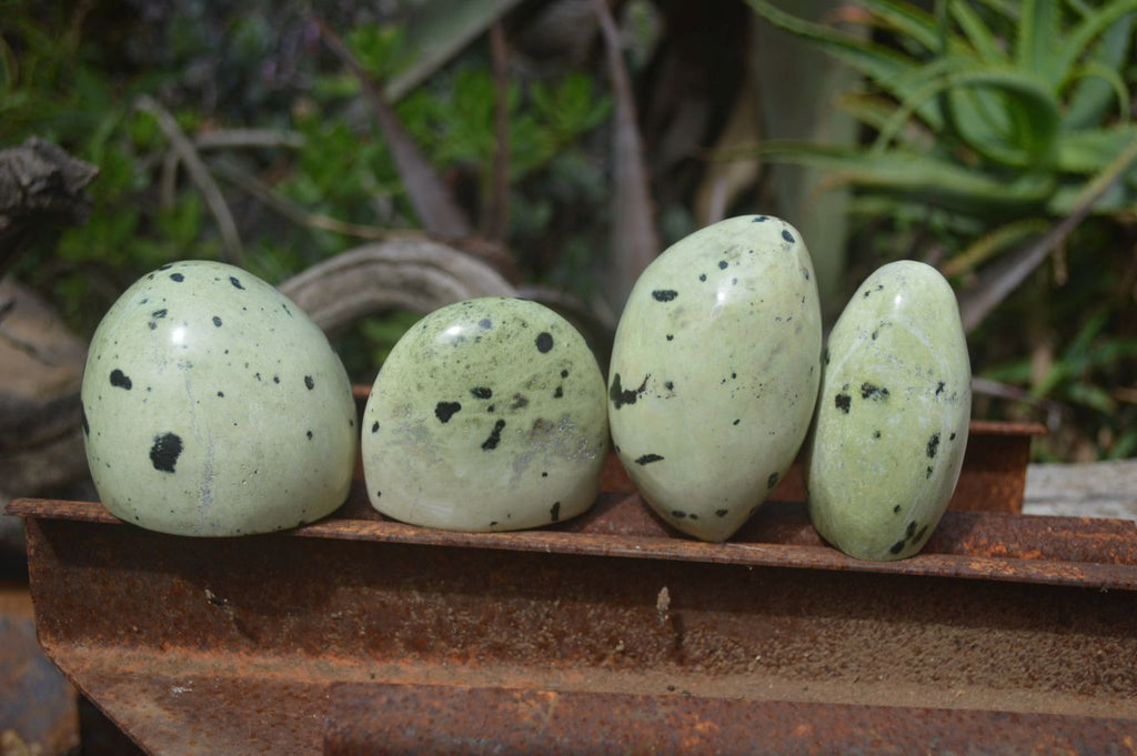 Polished Leopard Stone Standing Free Forms x 6 From Nyanga, Zimbabwe - Toprock Gemstones and Minerals 