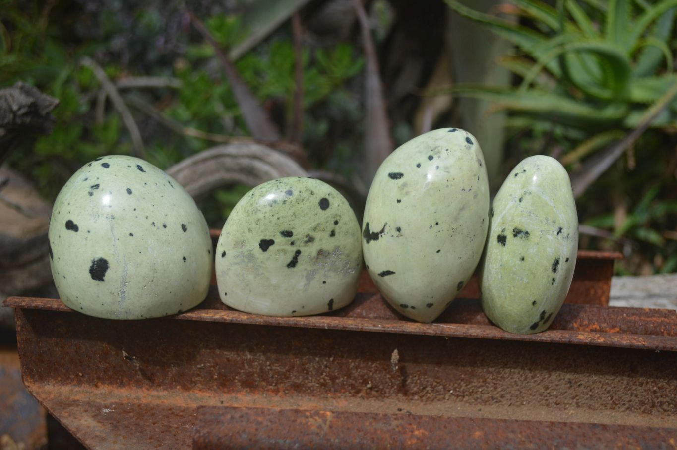 Polished Leopard Stone Standing Free Forms x 6 From Nyanga, Zimbabwe - Toprock Gemstones and Minerals 