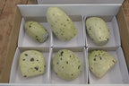Polished Leopard Stone Standing Free Forms x 6 From Nyanga, Zimbabwe - Toprock Gemstones and Minerals 
