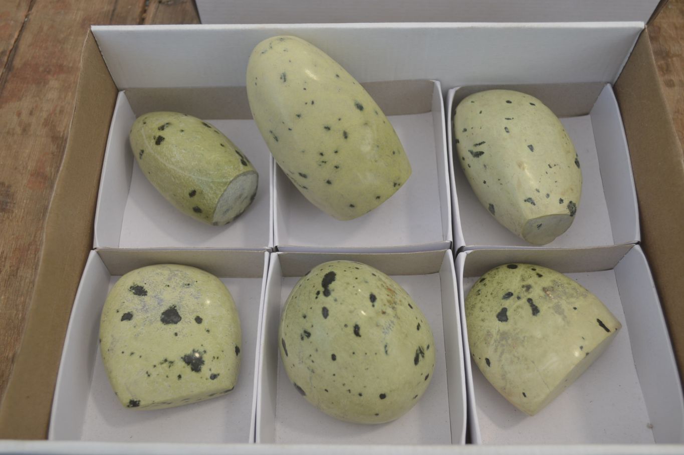 Polished Leopard Stone Standing Free Forms x 6 From Nyanga, Zimbabwe - Toprock Gemstones and Minerals 