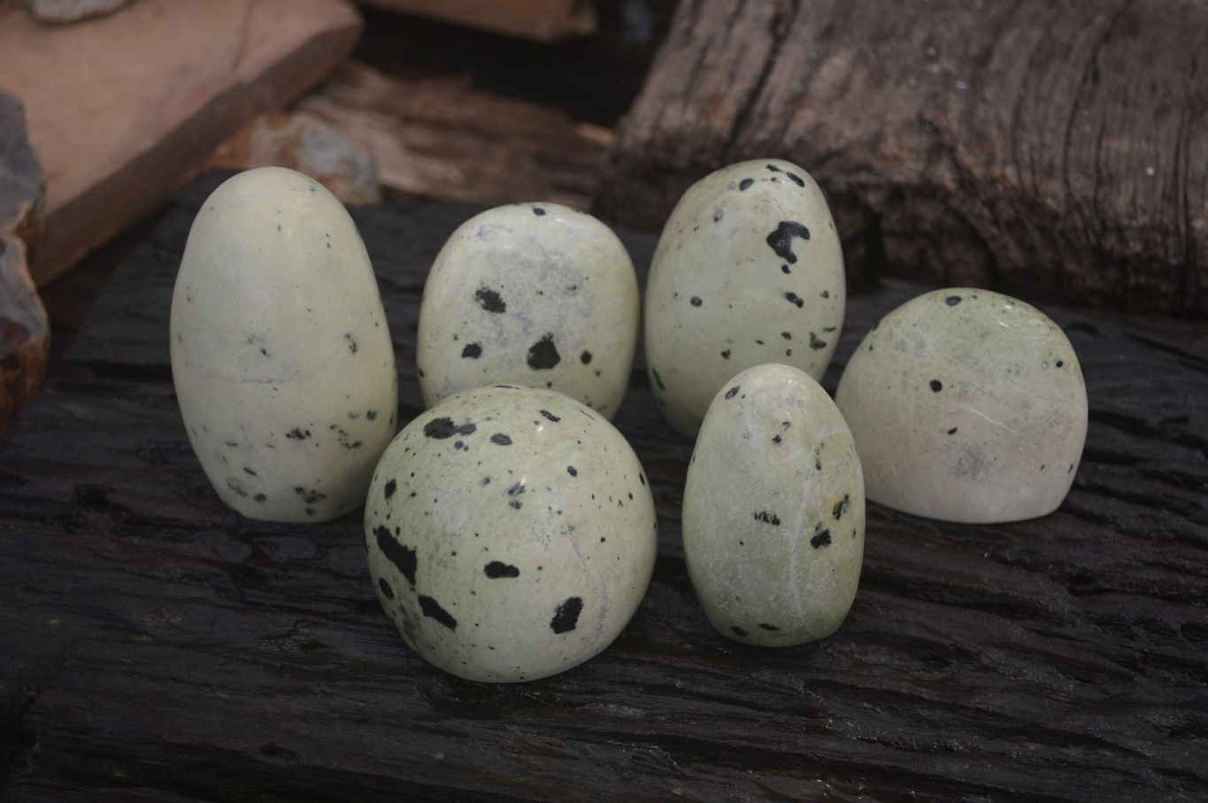 Polished Leopard Stone Standing Free Forms x 6 From Nyanga, Zimbabwe - Toprock Gemstones and Minerals 
