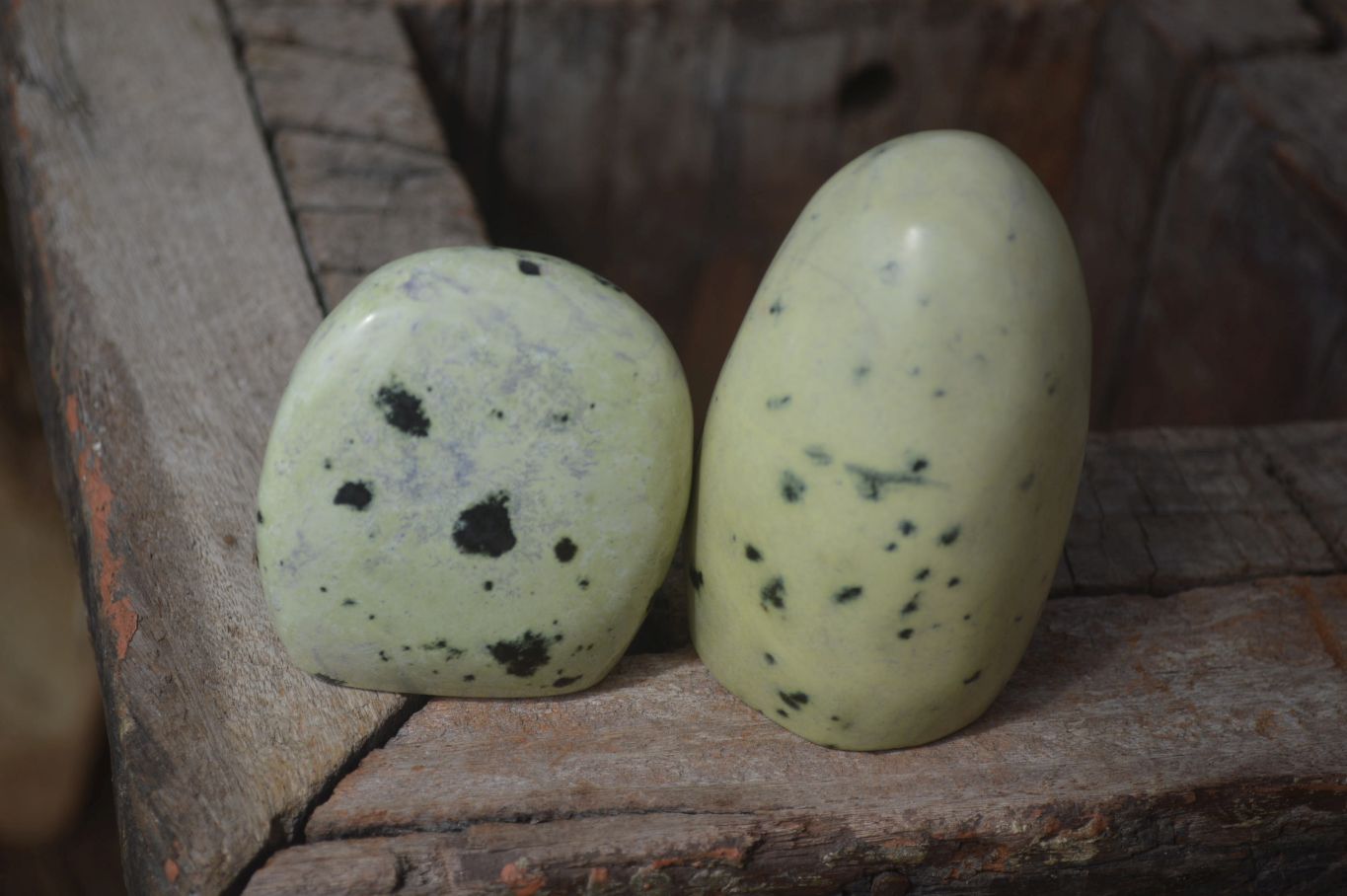 Polished Leopard Stone Standing Free Forms x 6 From Nyanga, Zimbabwe - Toprock Gemstones and Minerals 