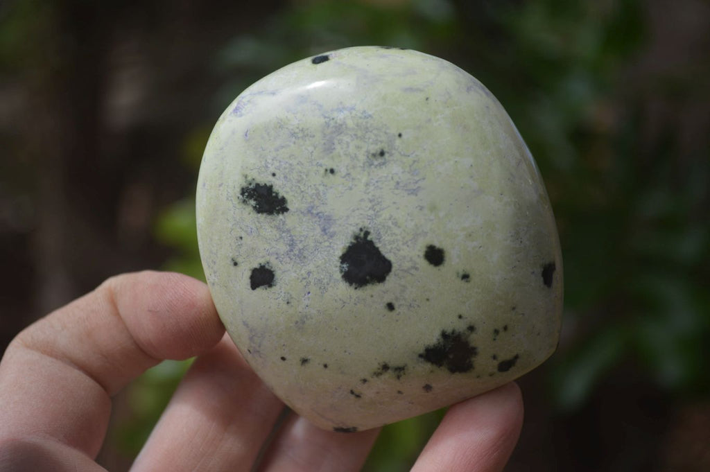 Polished Leopard Stone Standing Free Forms x 6 From Nyanga, Zimbabwe - Toprock Gemstones and Minerals 