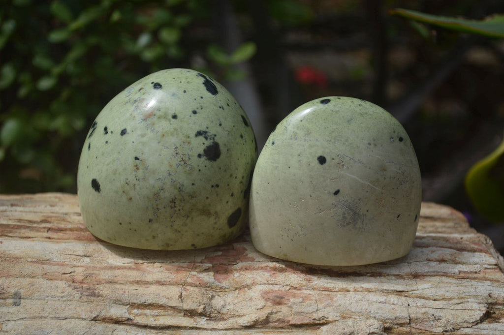 Polished Leopard Stone Standing Free Forms x 6 From Nyanga, Zimbabwe - Toprock Gemstones and Minerals 