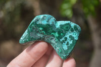 Polished Malacolla Free Forms x 6 From Kalukundi Mine, Congo - Toprock Gemstones and Minerals 