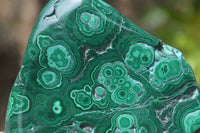Polished Malacolla Free Forms x 6 From Kalukundi Mine, Congo - Toprock Gemstones and Minerals 