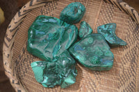 Polished Malacolla Free Forms x 6 From Kalukundi Mine, Congo - Toprock Gemstones and Minerals 