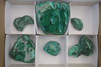 Polished Malacolla Free Forms x 6 From Kalukundi Mine, Congo - Toprock Gemstones and Minerals 