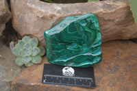 Polished Malacolla Free Forms x 6 From Kalukundi Mine, Congo - Toprock Gemstones and Minerals 