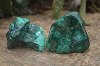 Polished Malacolla Free Forms x 6 From Kalukundi Mine, Congo - Toprock Gemstones and Minerals 
