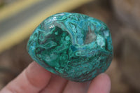 Polished Malacolla Free Forms x 6 From Kalukundi Mine, Congo - Toprock Gemstones and Minerals 