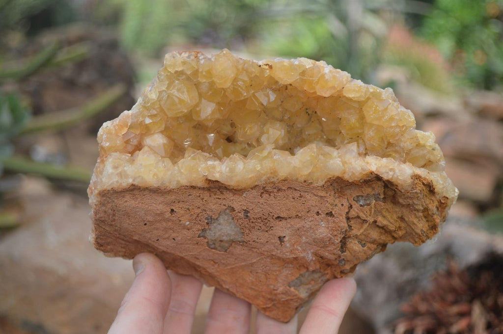 Natural Limonite Quartz Clusters x 5 From Solwezi, Zambia - Toprock Gemstones and Minerals 