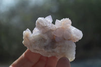 Natural Ametrine Spirit Quartz Clusters x 12 From Boekenhouthoek, South Africa