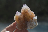 Natural Ametrine Spirit Quartz Clusters x 12 From Boekenhouthoek, South Africa