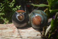 Polished Polychrome Jasper Spheres x 2 From Madagascar - Toprock Gemstones and Minerals 