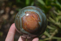 Polished Polychrome Jasper Spheres x 2 From Madagascar - Toprock Gemstones and Minerals 