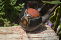 Polished Polychrome Jasper Spheres x 2 From Madagascar - Toprock Gemstones and Minerals 