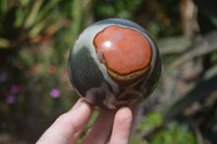 Polished Polychrome Jasper Spheres x 2 From Madagascar - Toprock Gemstones and Minerals 