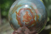 Polished Polychrome Jasper Spheres x 2 From Madagascar - Toprock Gemstones and Minerals 