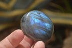 Polished Labradorite Palm Stones x 20 From Tulear, Madagascar - Toprock Gemstones and Minerals 