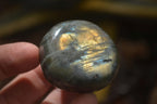 Polished Labradorite Palm Stones x 20 From Tulear, Madagascar - Toprock Gemstones and Minerals 