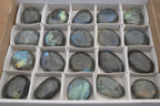 Polished Labradorite Palm Stones x 20 From Tulear, Madagascar - Toprock Gemstones and Minerals 