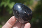 Polished Black Tourmaline Gemstone Eggs x 6 From Madagascar - Toprock Gemstones and Minerals 