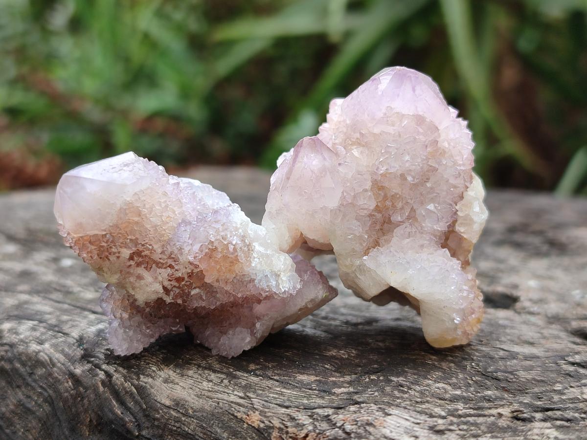 Natural Spirit Amethyst Clusters x 15 From Boekenhouthoek, South Africa