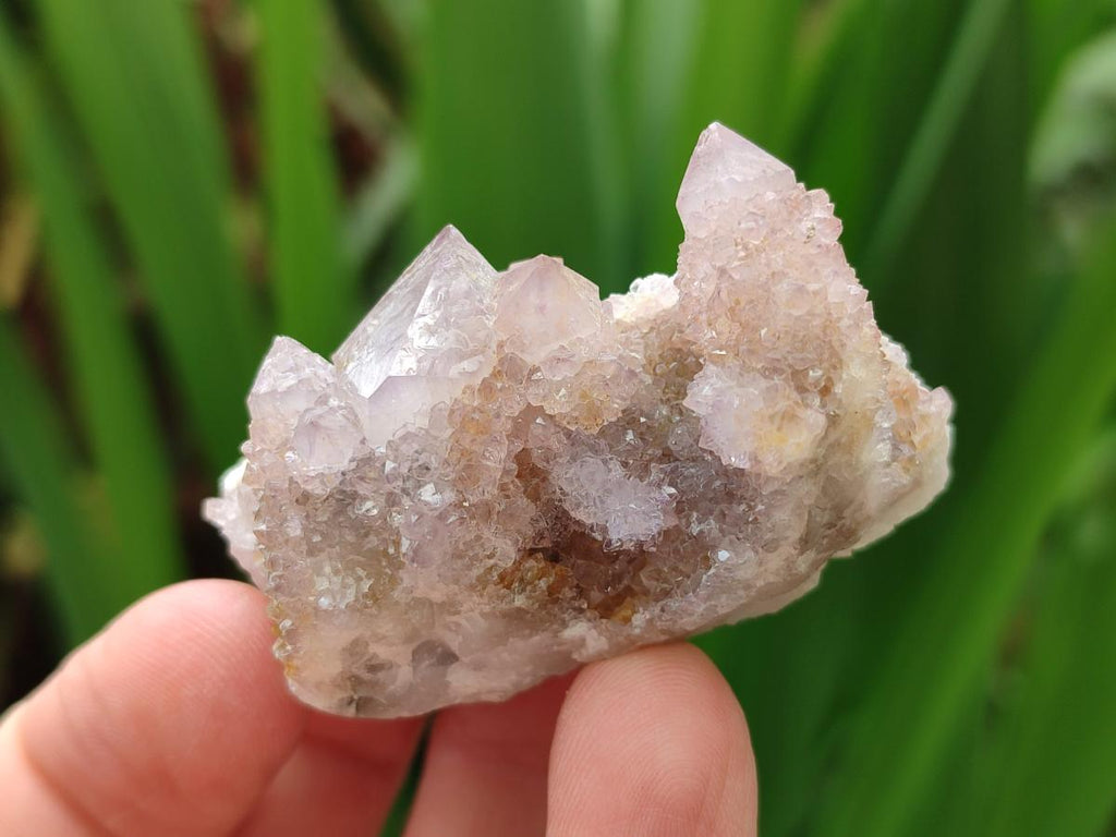 Natural Spirit Amethyst Clusters x 15 From Boekenhouthoek, South Africa
