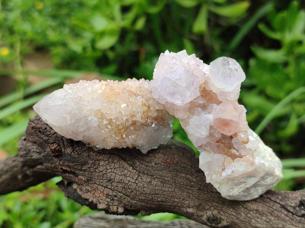 Natural Spirit Amethyst Clusters x 15 From Boekenhouthoek, South Africa