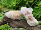 Natural Spirit Amethyst Clusters x 15 From Boekenhouthoek, South Africa