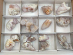 Natural Spirit Amethyst Clusters x 15 From Boekenhouthoek, South Africa