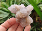 Natural Spirit Amethyst Clusters x 15 From Boekenhouthoek, South Africa
