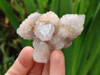 Natural Spirit Amethyst Clusters x 15 From Boekenhouthoek, South Africa
