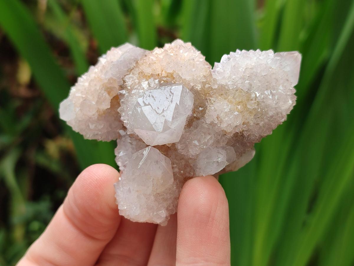 Natural Spirit Amethyst Clusters x 15 From Boekenhouthoek, South Africa