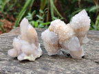 Natural Spirit Amethyst Clusters x 15 From Boekenhouthoek, South Africa