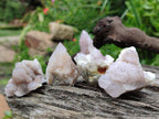 Natural Spirit Amethyst Clusters x 15 From Boekenhouthoek, South Africa