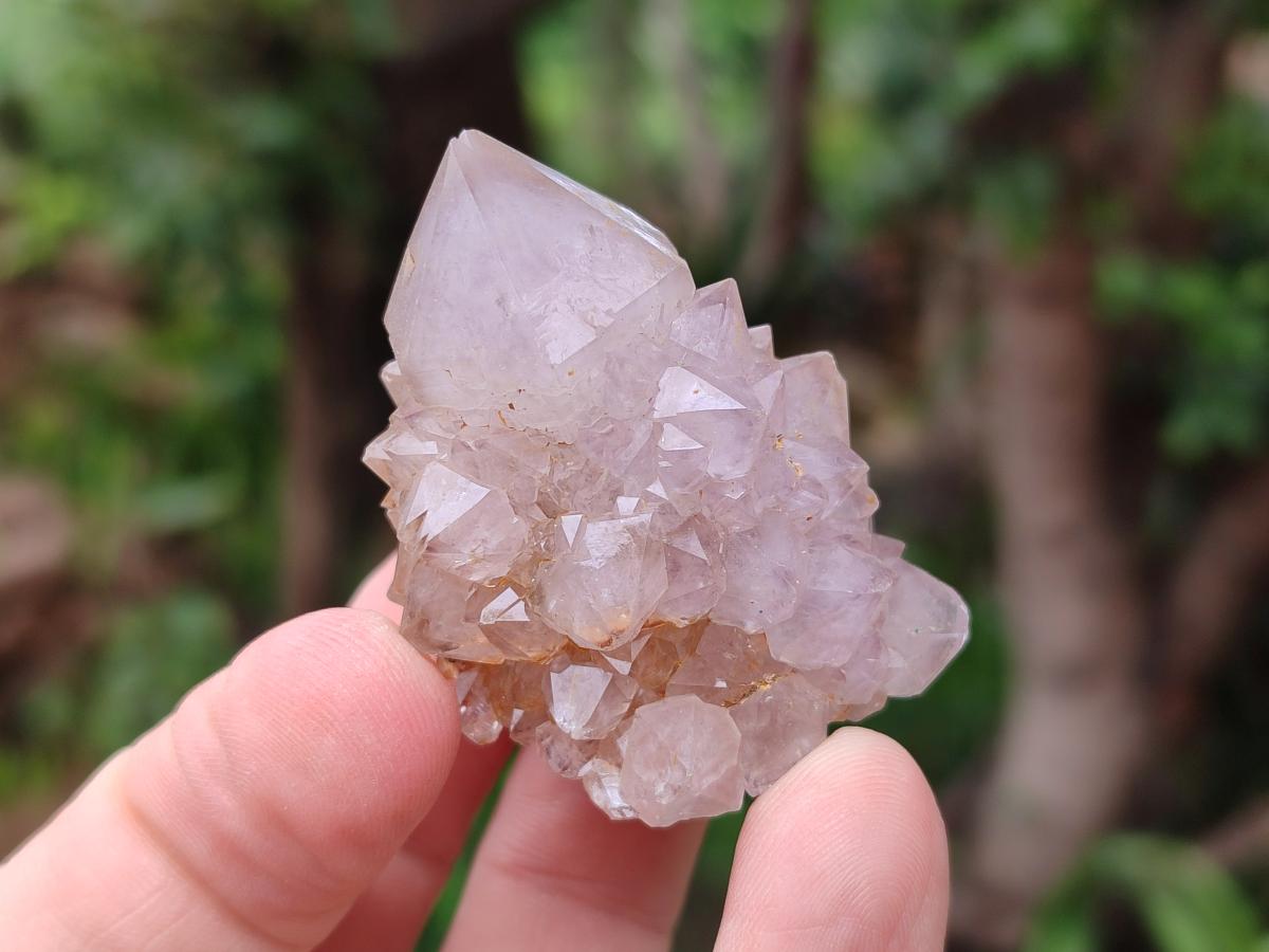 Natural Spirit Amethyst Clusters x 15 From Boekenhouthoek, South Africa