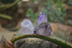 Polished Smokey Window Amethyst Quartz Crystals x 24 From Akansobe, Madagascar - Toprock Gemstones and Minerals 