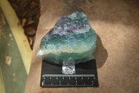 Natural Watermelon Fluorite Cobbed Specimens x 6 From Uis, Namibia - Toprock Gemstones and Minerals 