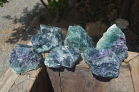 Natural Watermelon Fluorite Cobbed Specimens x 6 From Uis, Namibia - Toprock Gemstones and Minerals 