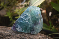Natural Watermelon Fluorite Cobbed Specimens x 6 From Uis, Namibia - Toprock Gemstones and Minerals 