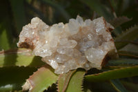 Natural Limonite Quartz Clusters x 12 From Solwezi, Zambia - Toprock Gemstones and Minerals 