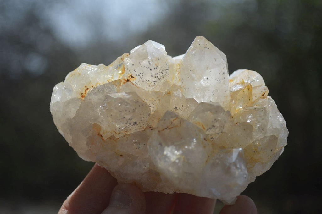 Natural Limonite Quartz Clusters x 12 From Solwezi, Zambia - Toprock Gemstones and Minerals 