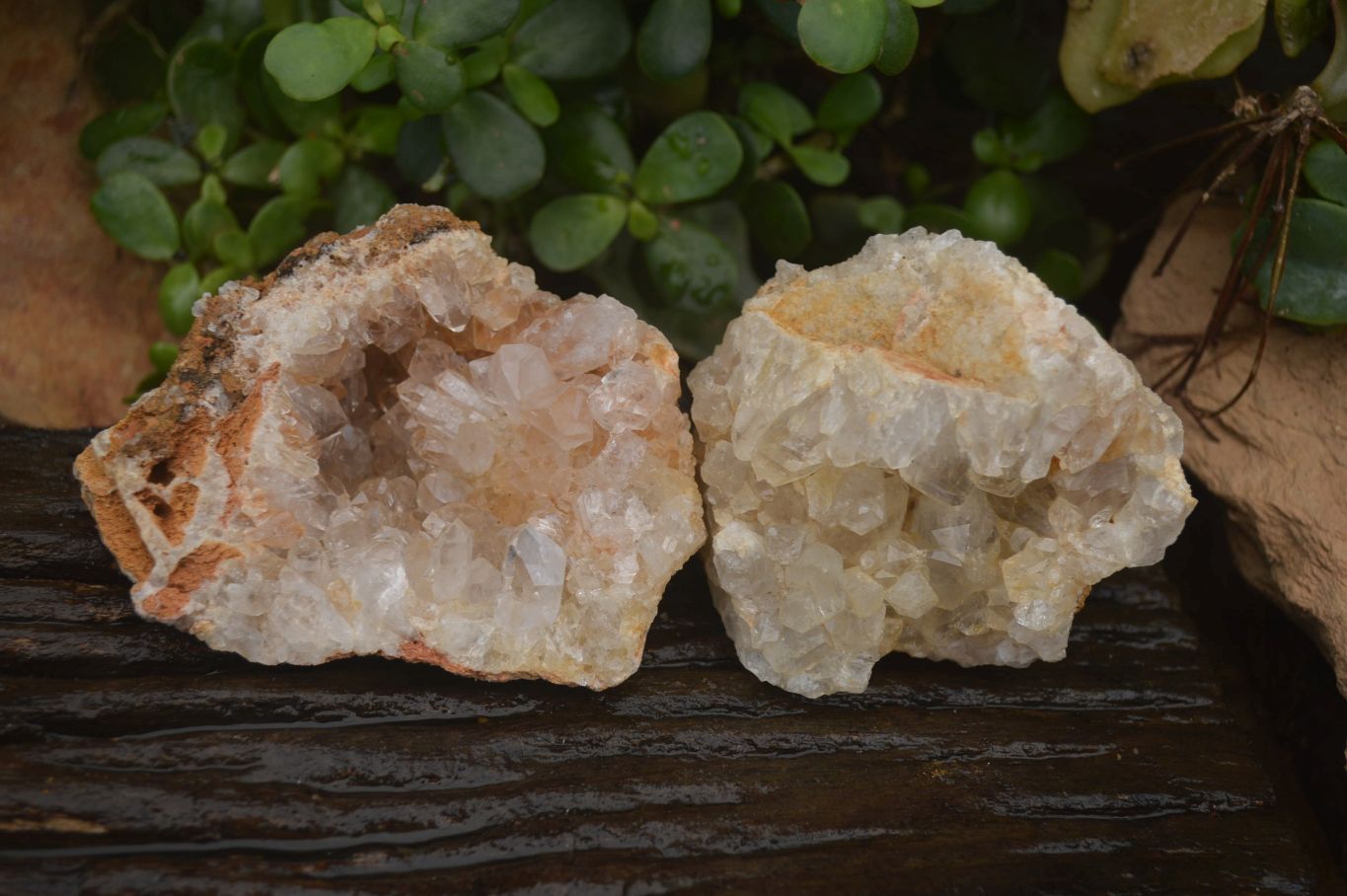 Natural Limonite Quartz Clusters x 12 From Solwezi, Zambia - Toprock Gemstones and Minerals 