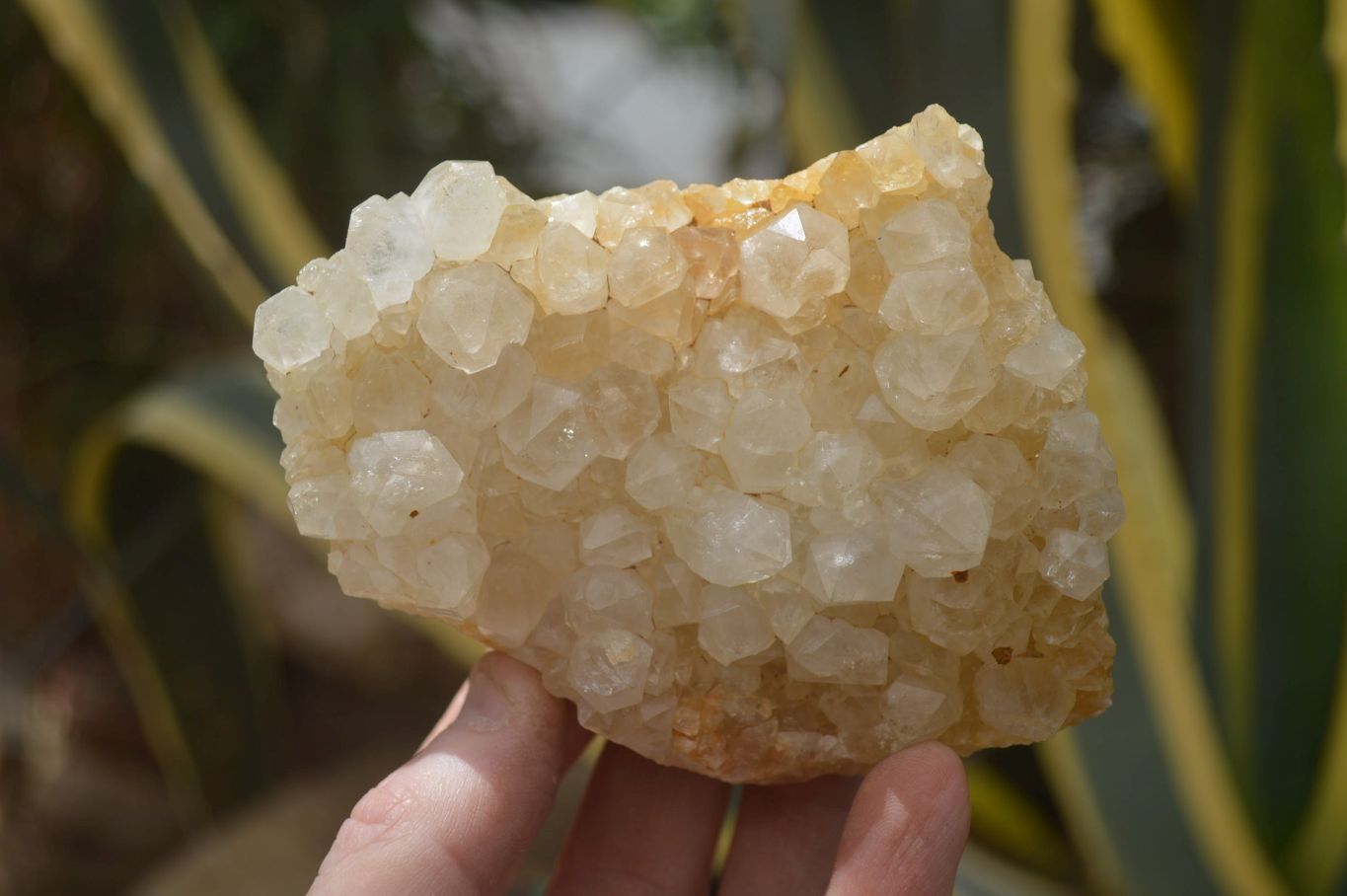 Natural Limonite Quartz Clusters x 12 From Solwezi, Zambia - Toprock Gemstones and Minerals 