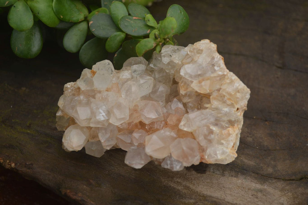 Natural Limonite Quartz Clusters x 12 From Solwezi, Zambia - Toprock Gemstones and Minerals 