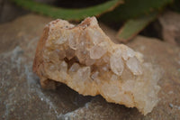 Natural Limonite Quartz Clusters x 12 From Solwezi, Zambia - Toprock Gemstones and Minerals 